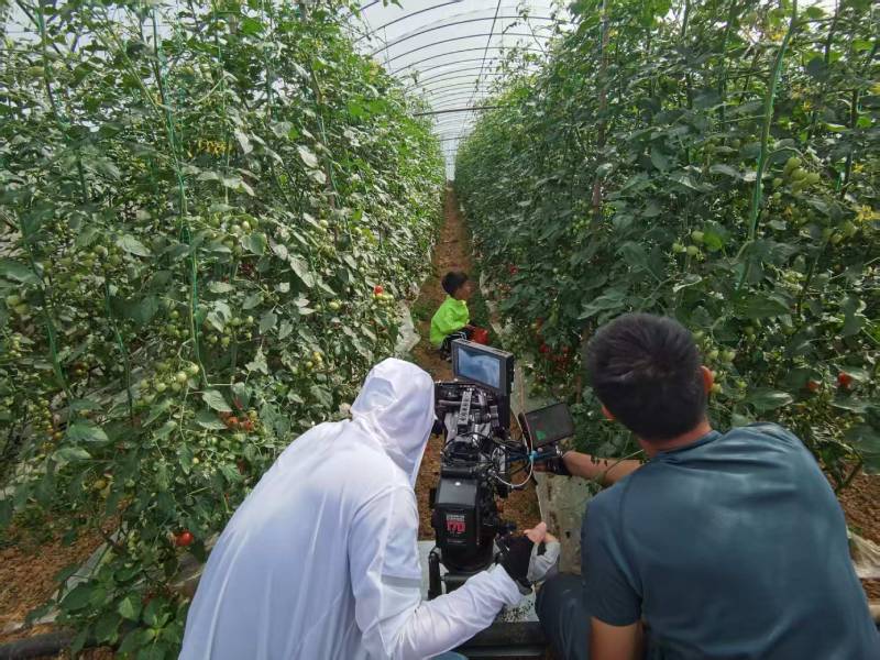 桑植县产品宣传视频拍摄公司进阶指南，助力品牌抢占传播高地